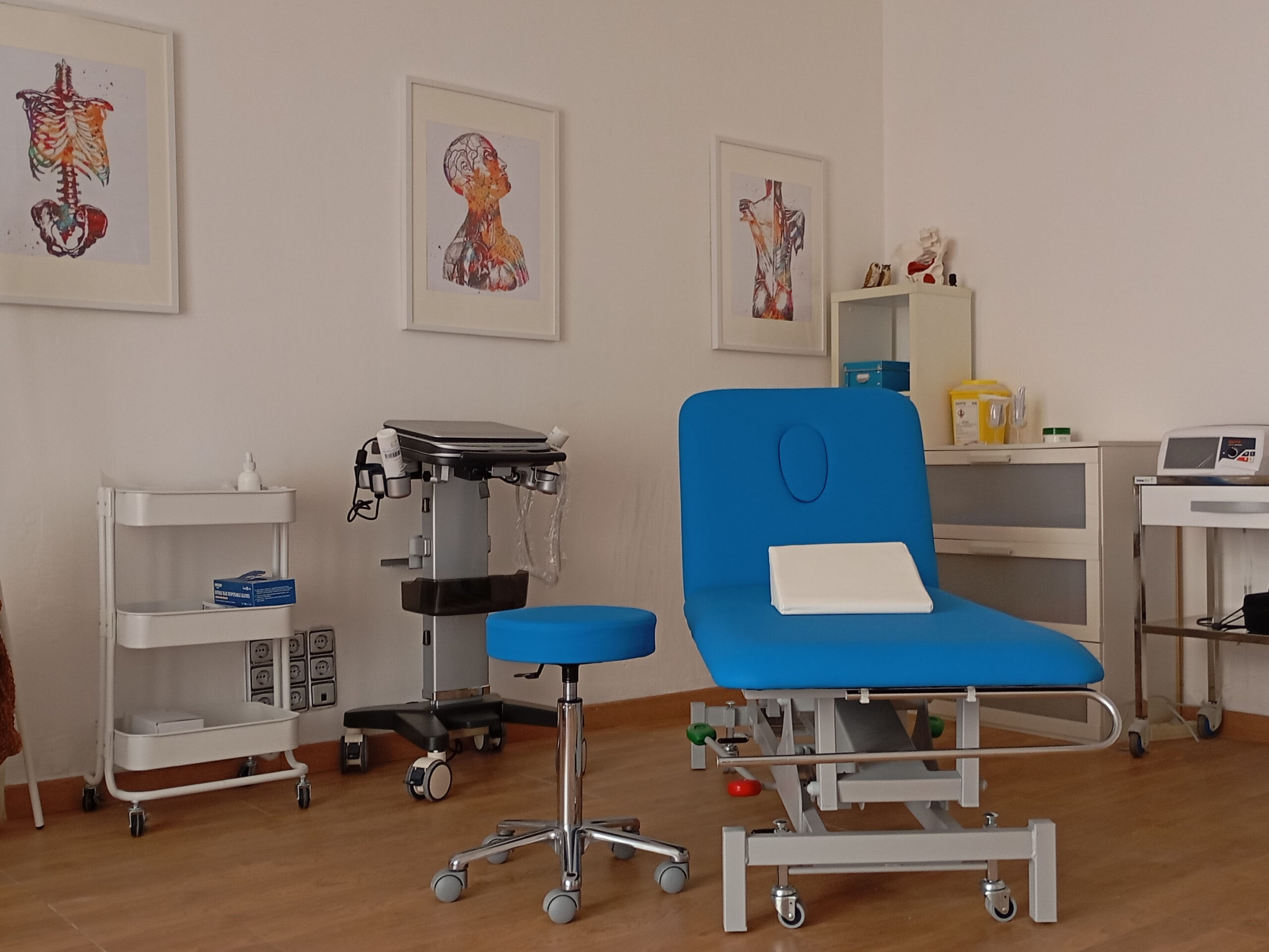 FISIOTERAPIA MUSCULOESQUELÉTICA